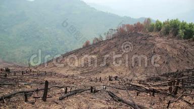 <strong>砍伐</strong>森林，森林火灾后，自然灾害.
